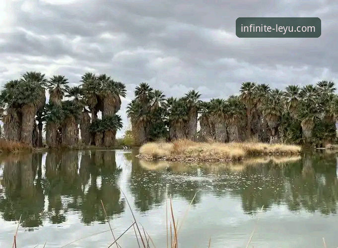 沙漠天堂前的意外困局：中东空域关闭如何影响印第安维尔斯大师赛？